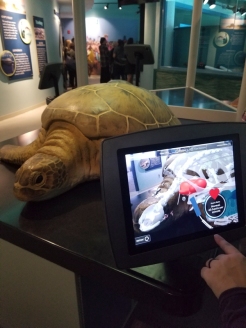 Augmented reality exhibit at the South Carolina Aquarium