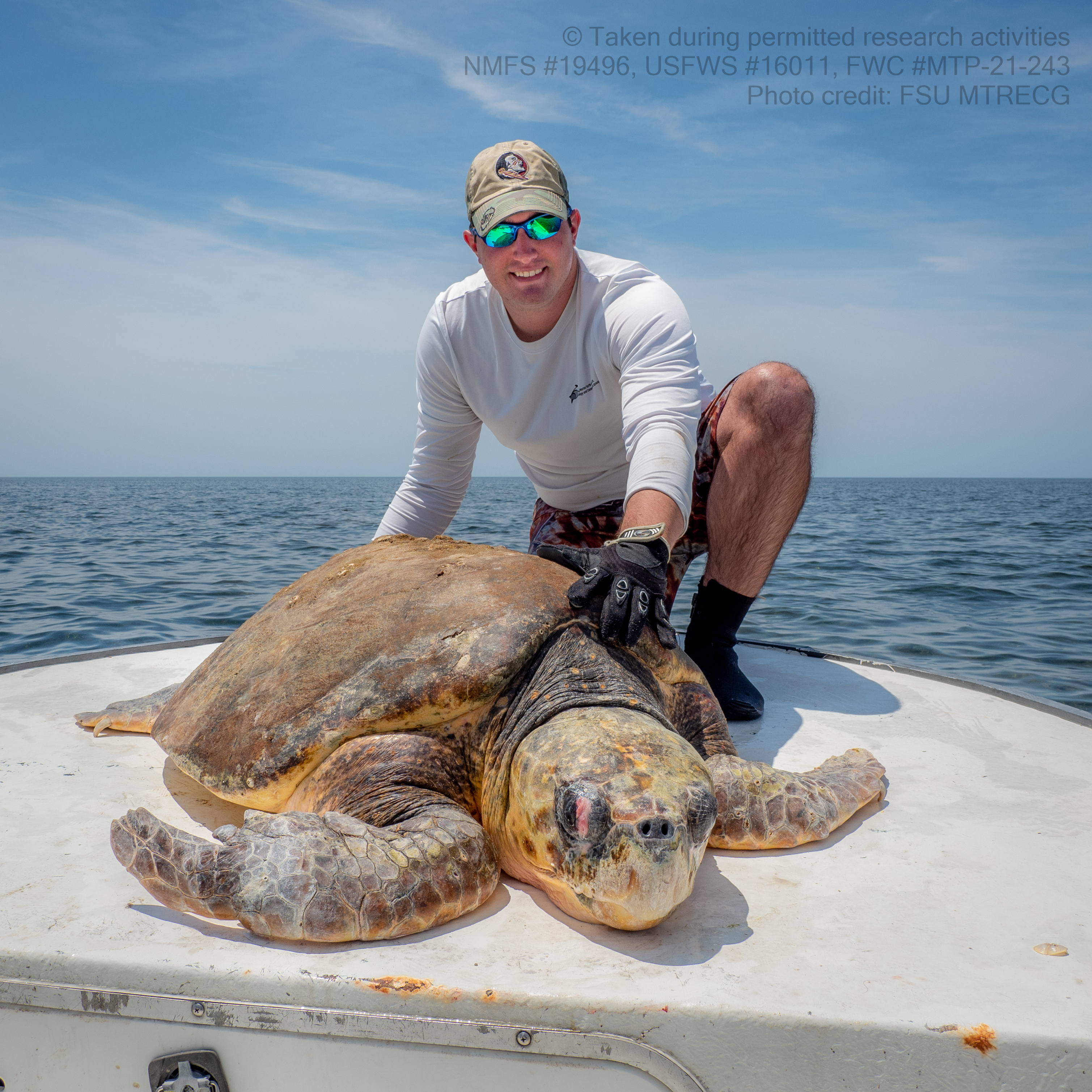 Dr. Matt Ware with a loggerhead sea turtle